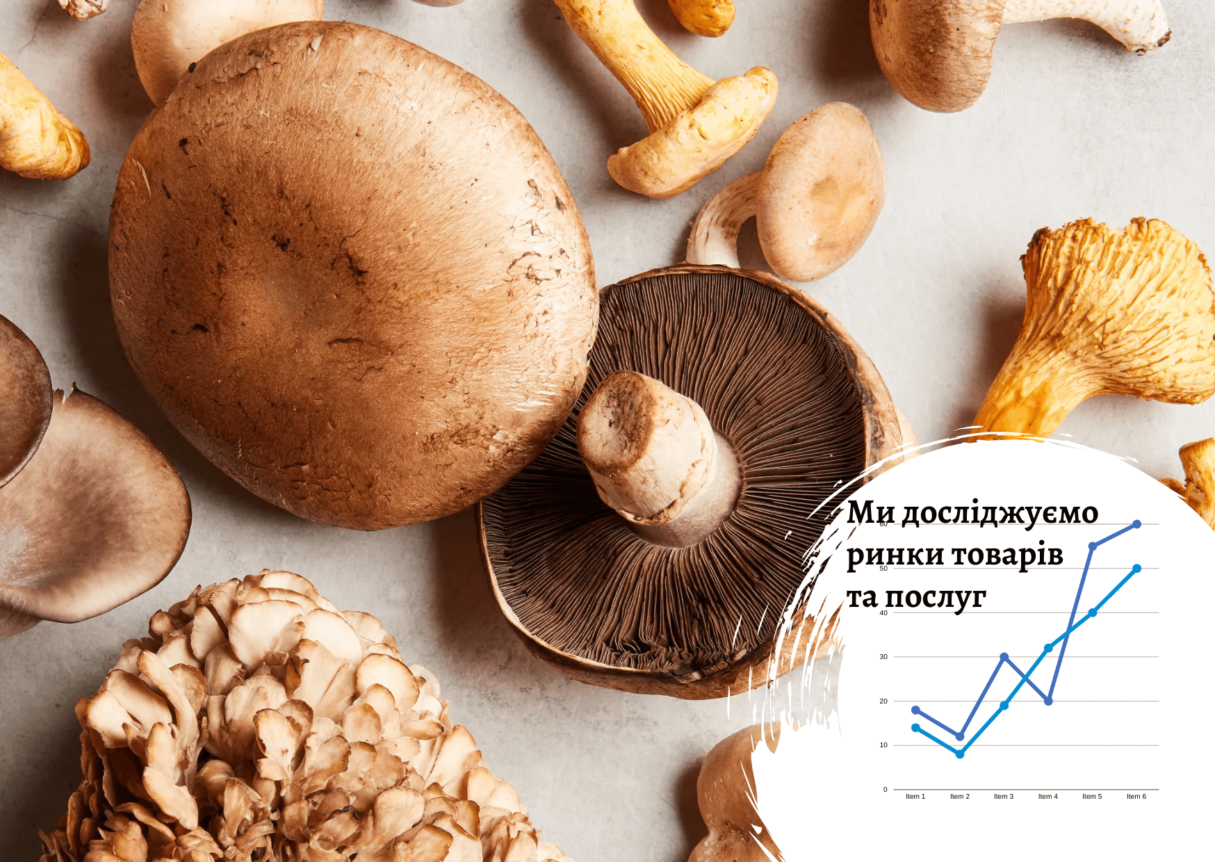 Mushroom market in Ukraine: main influencing factors